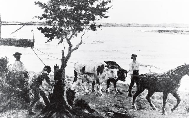 Steamship service between Montréal and Québec City