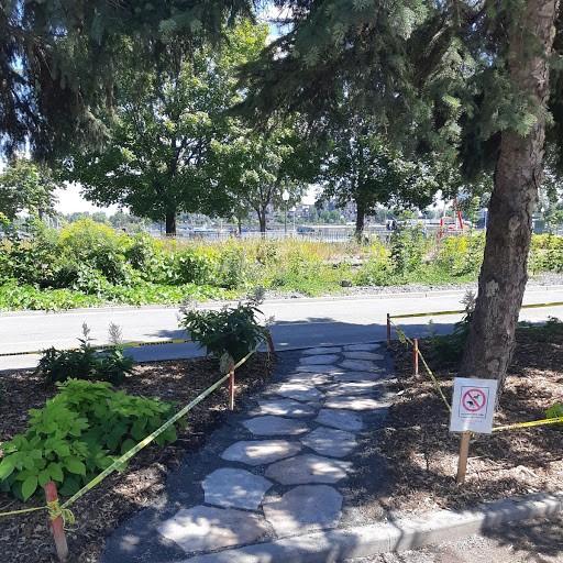 Aménagement paysager en bordure de la piste cyclable Vieux Port de Montréal